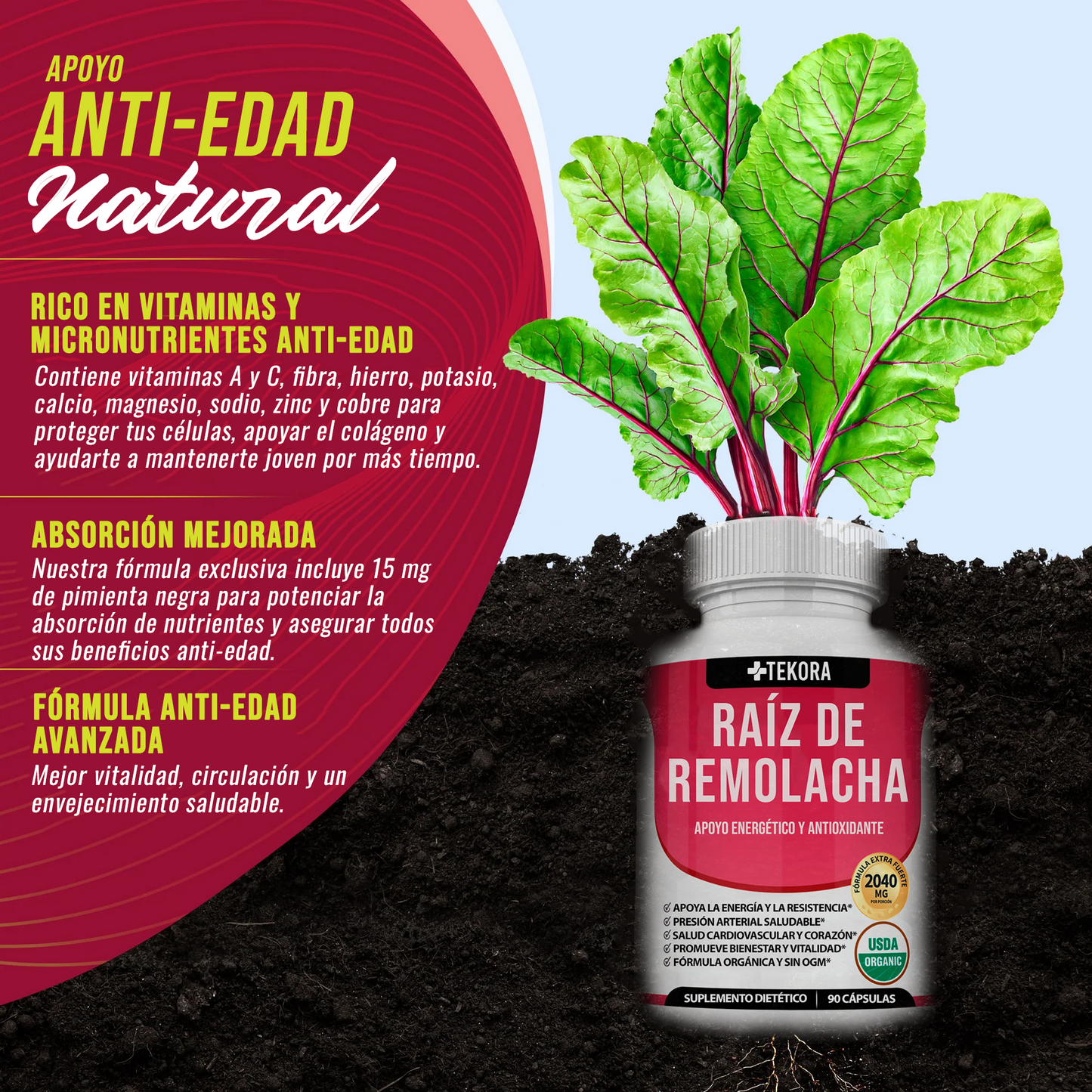 Remolacha Activa® De Máxima Pureza Anti-Edad y Vitalidad